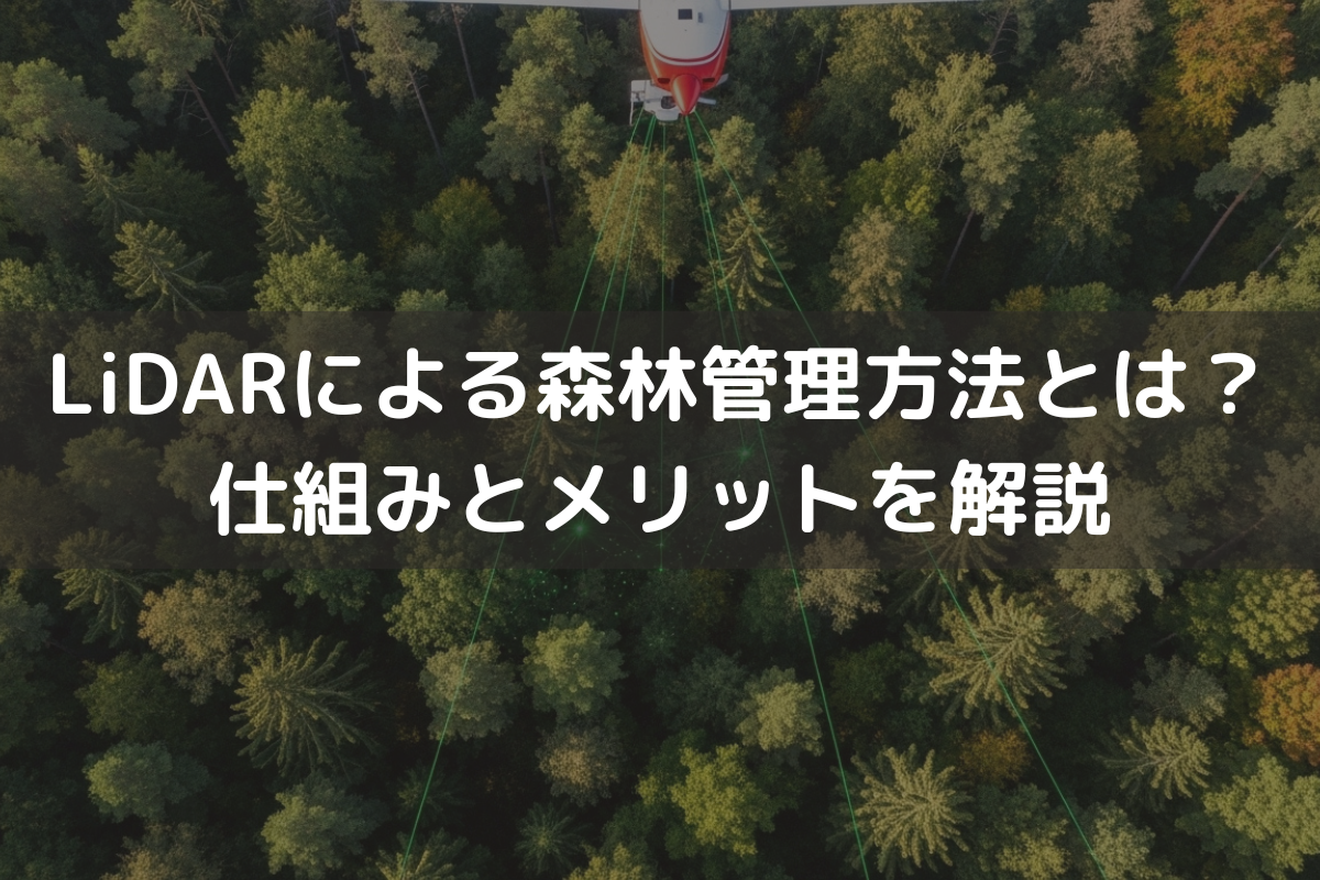 LiDARによる森林管理方法とは？仕組みとメリットを解説